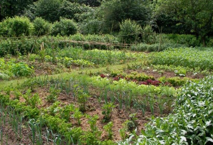 Nocleg ze śniadaniem Château Le Castel Des Anges