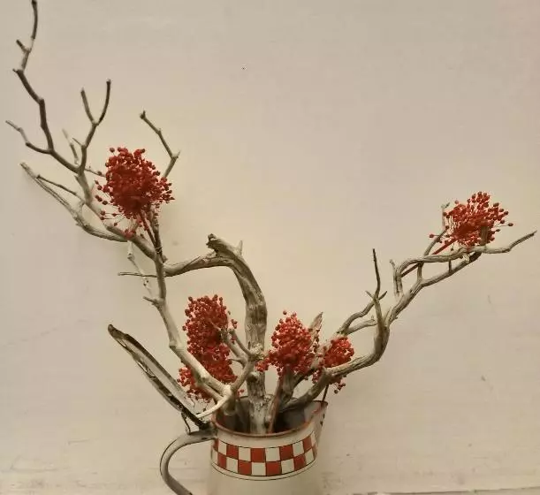 Aamiaismajoitus (B&B) Des Lits Sur La Place