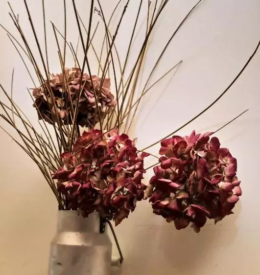 Aamiaismajoitus (B&B) Des Lits Sur La Place