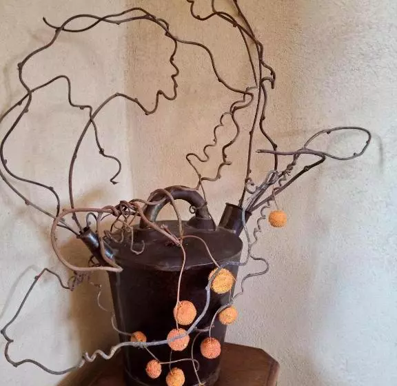 Aamiaismajoitus (B&B) Des Lits Sur La Place