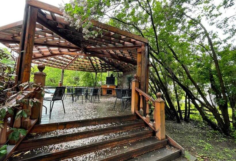 住宿加早餐 Manoir Des Curiosits