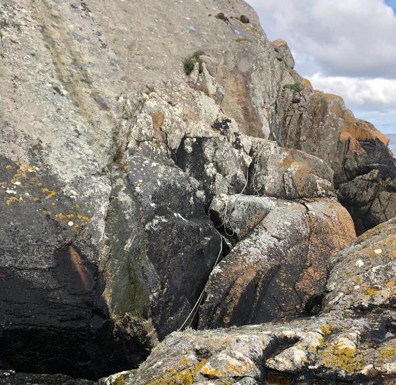 住宿加早餐  Les Fous De Bassans