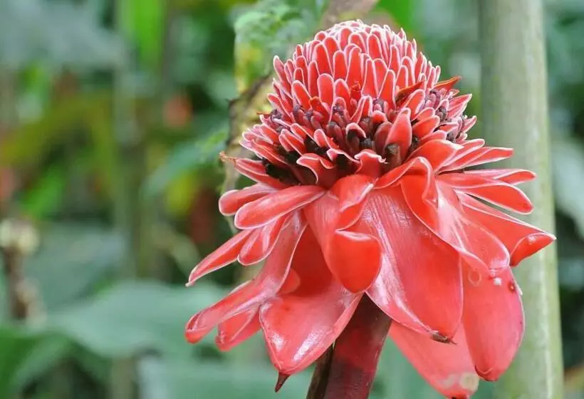 Aamiaismajoitus (B&B) Monte Terras