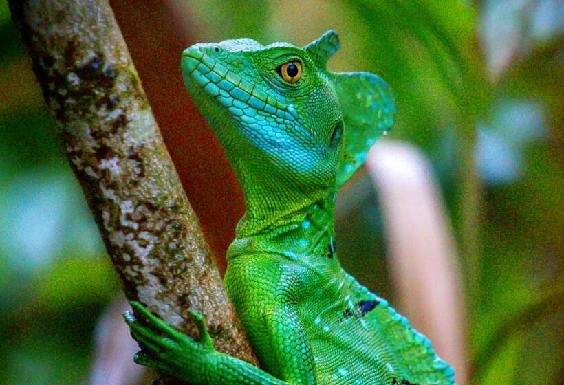 צימר Monte Terras