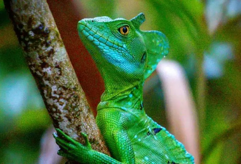 Aamiaismajoitus (B&B) Monte Terras