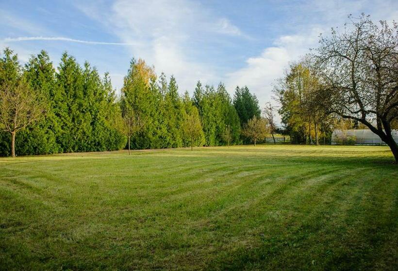 酒店 Hôtel Restaurant La Couronne