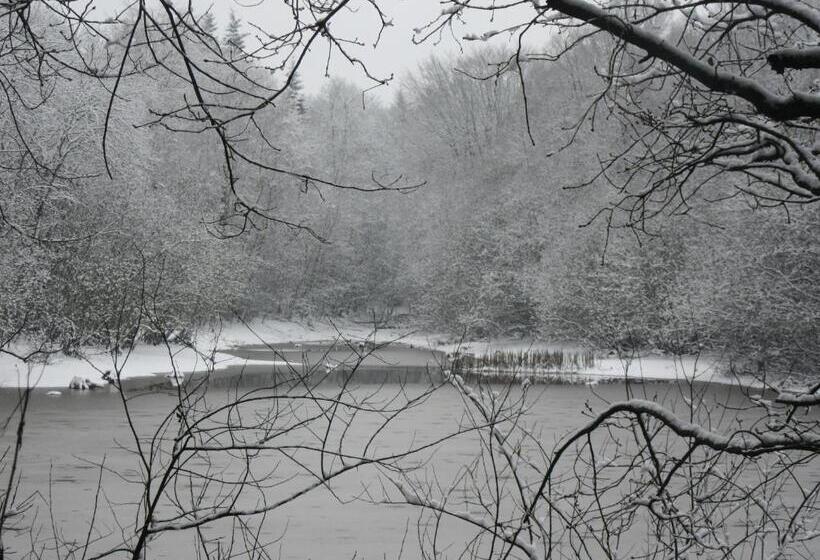 فندق Le Brillet Pontin