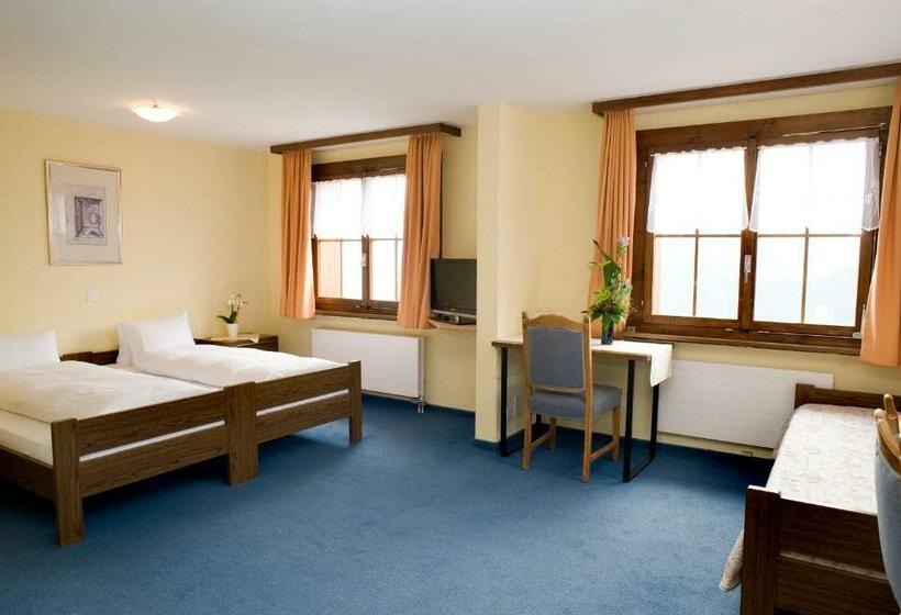 Hotel Postigliun Andiast