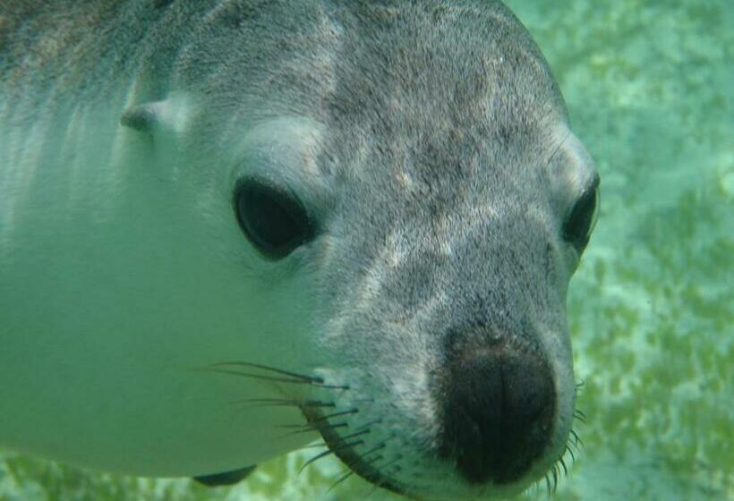 Мотель Centrebreak Beach Stay