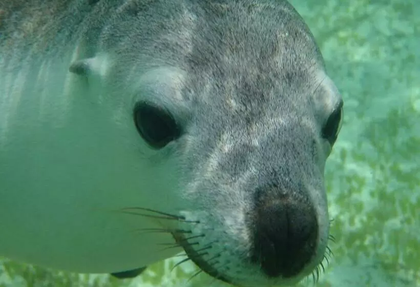 モーテル Centrebreak Beach Stay