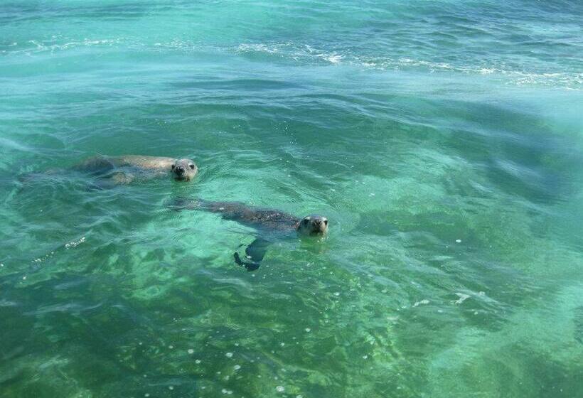 Мотель Centrebreak Beach Stay