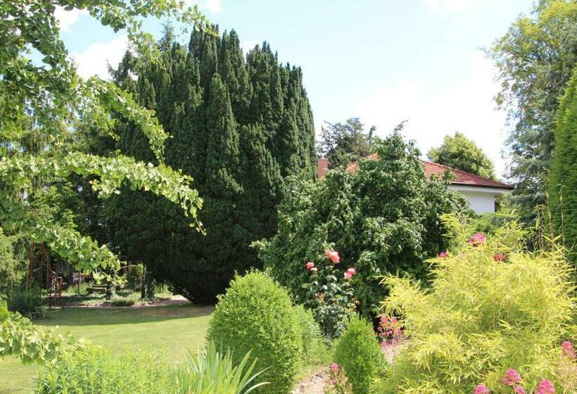 פנסיון Bio Weingut, Gästehaus Und Kräuterhof