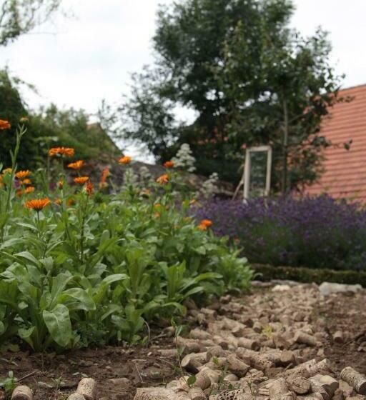 פנסיון Bio Weingut, Gästehaus Und Kräuterhof