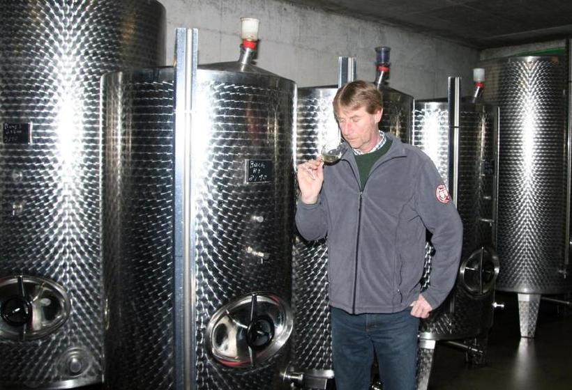 פנסיון Ferienweingut Hensler