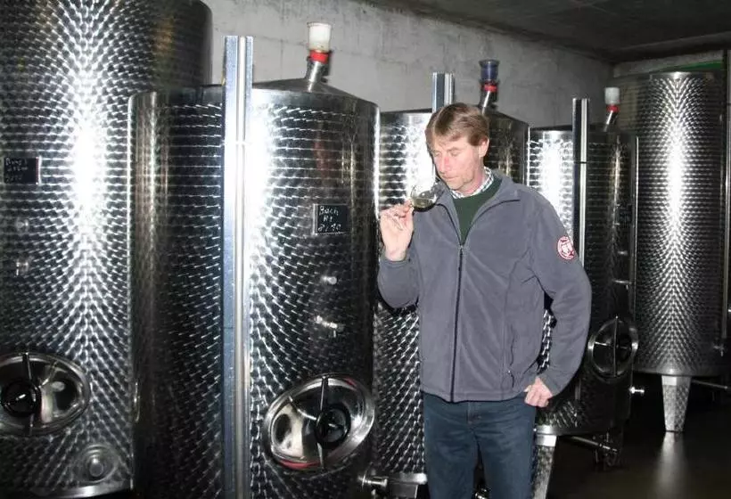 Majatalo Ferienweingut Hensler