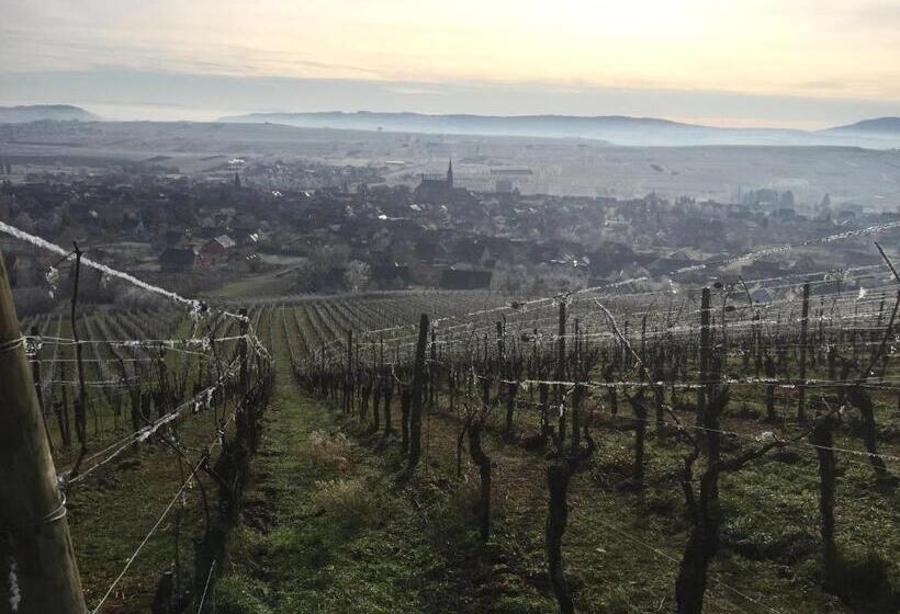 펜션 La Maison De Caroline