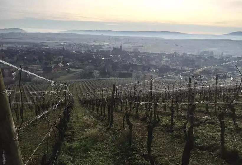 Majatalo La Maison De Caroline