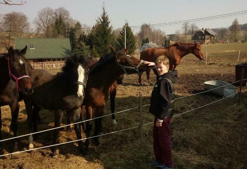 旅馆 Country Club Konírna