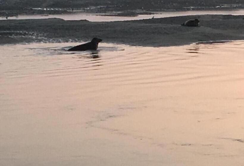 B&b Entre Terre Et Mer