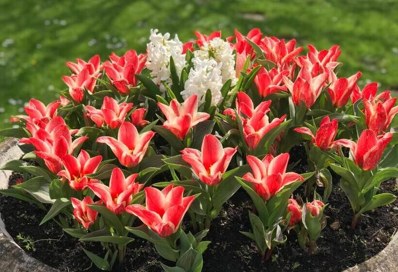 住宿加早餐 Chambre D'hôte Manoir De Clairbois