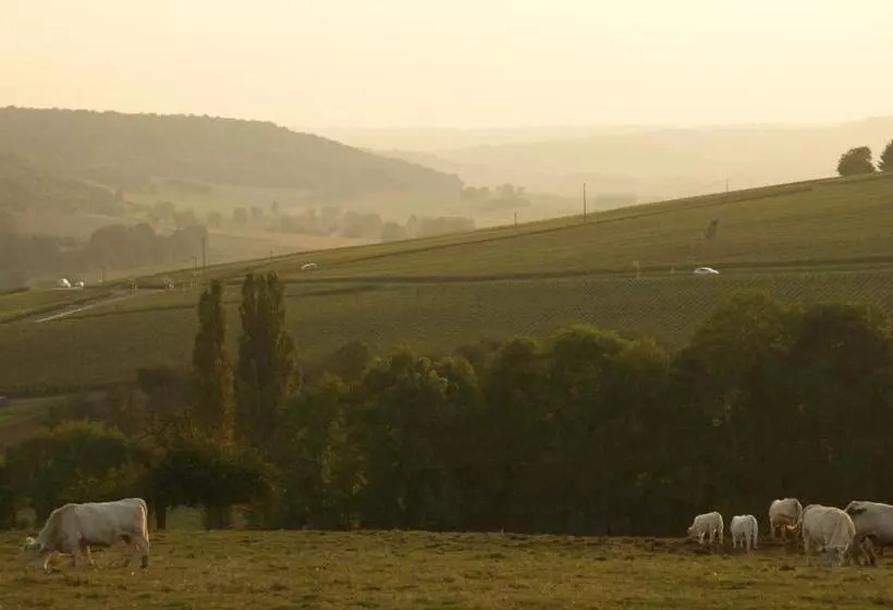 Aamiaismajoitus (B&B) Chambres D'hotes & Champagne Douard
