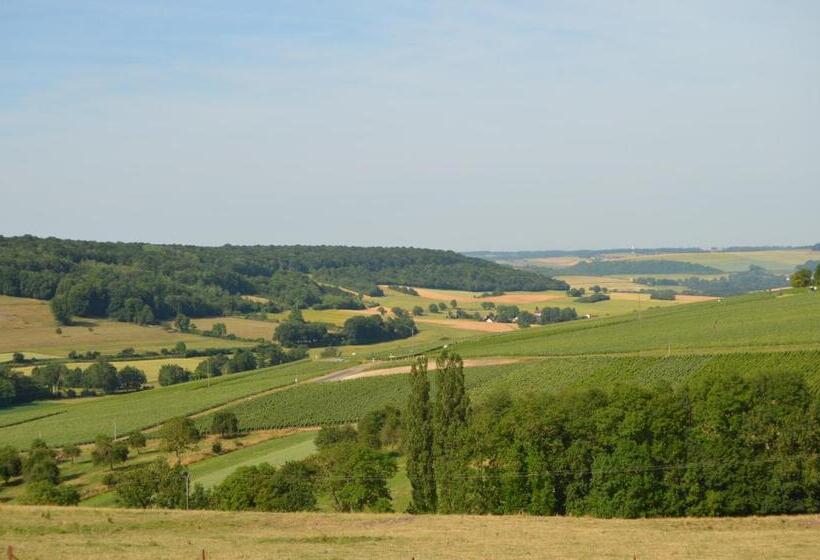 צימר Chambres D'hotes & Champagne Douard