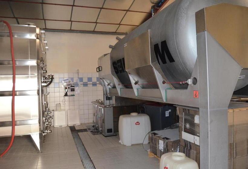 צימר Chambres D'hotes & Champagne Douard