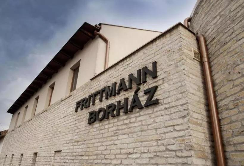 Aamiaismajoitus (B&B) Frittmann Borház