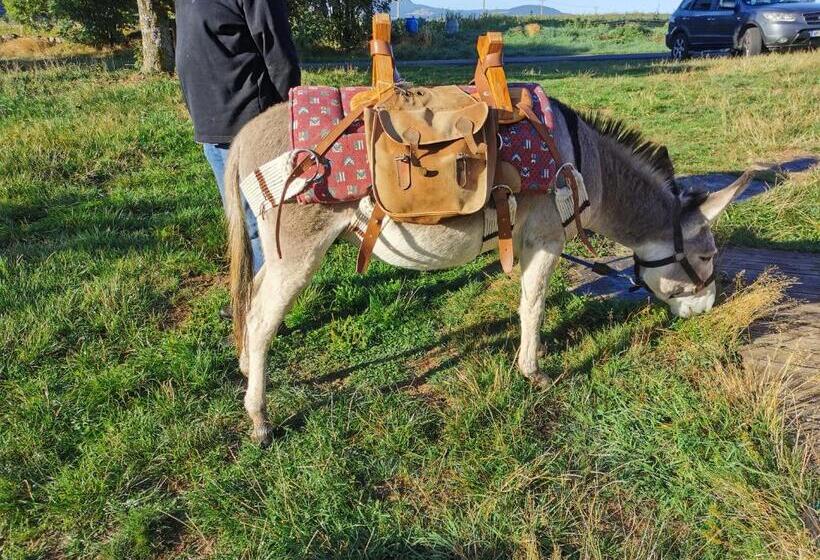 مبيت وإفطار La Rose Des Vents