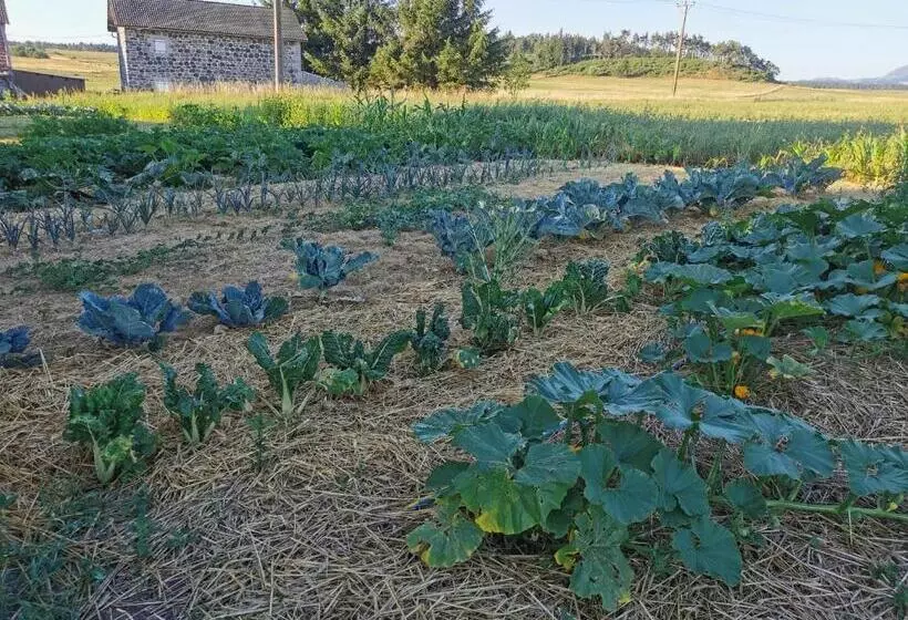 Aamiaismajoitus (B&B) La Rose Des Vents