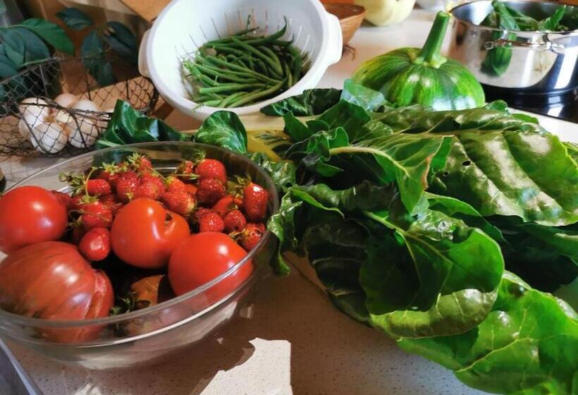 مبيت وإفطار La Rose Des Vents