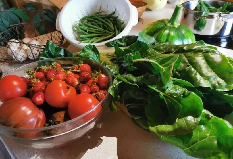 Aamiaismajoitus (B&B) La Rose Des Vents