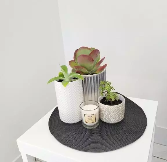 Boyne Island Motel And Villas