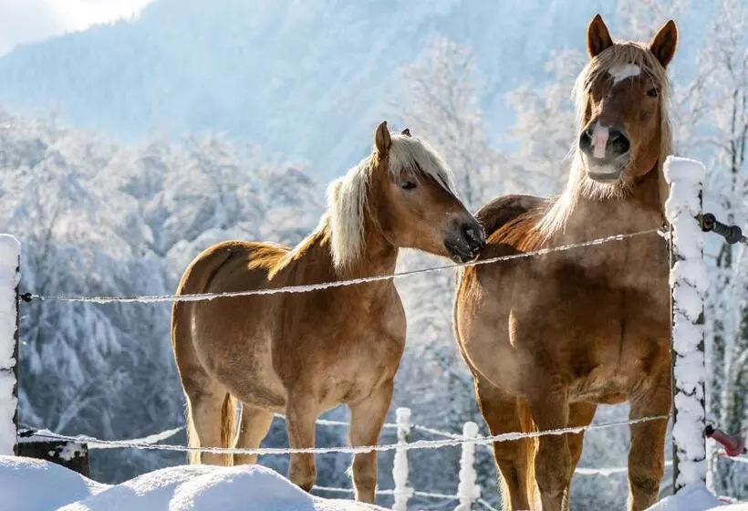 Hotelli & Chalets Lampllehen