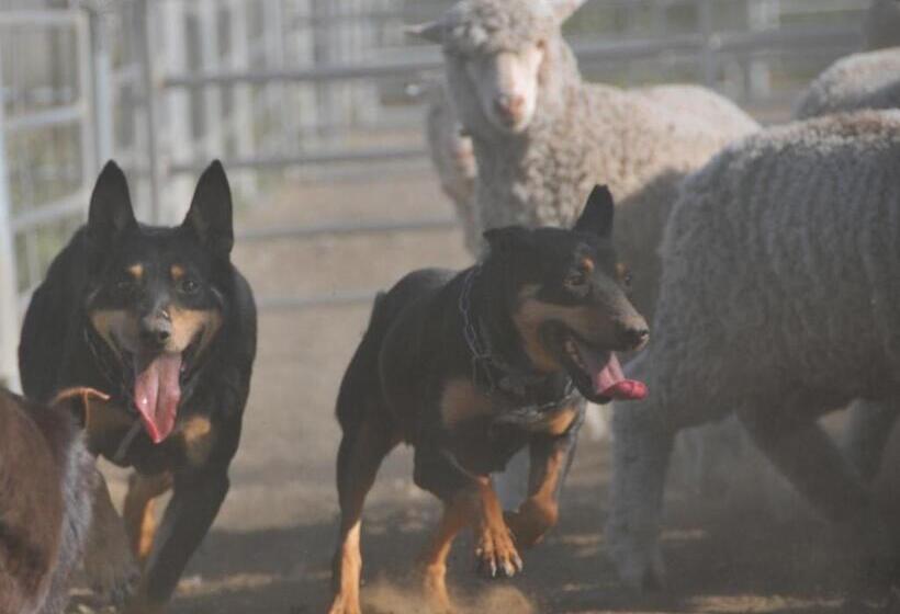 Hotel Corynnia Station