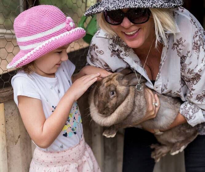 Отель Misty Valley Country Cottages