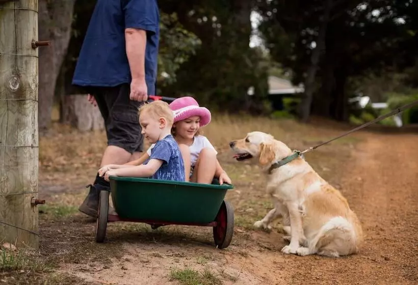 ホテル Misty Valley Country Cottages