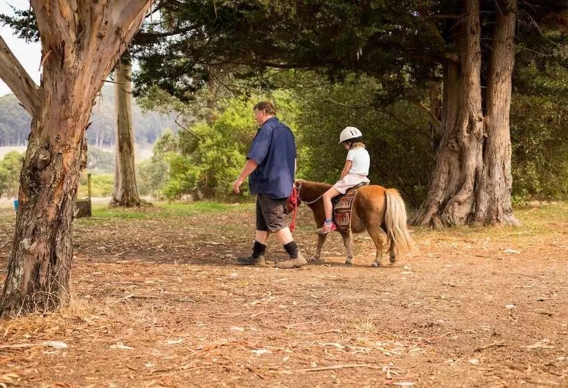 ホテル Misty Valley Country Cottages