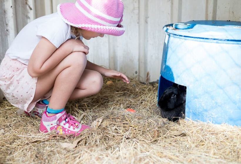 Отель Misty Valley Country Cottages