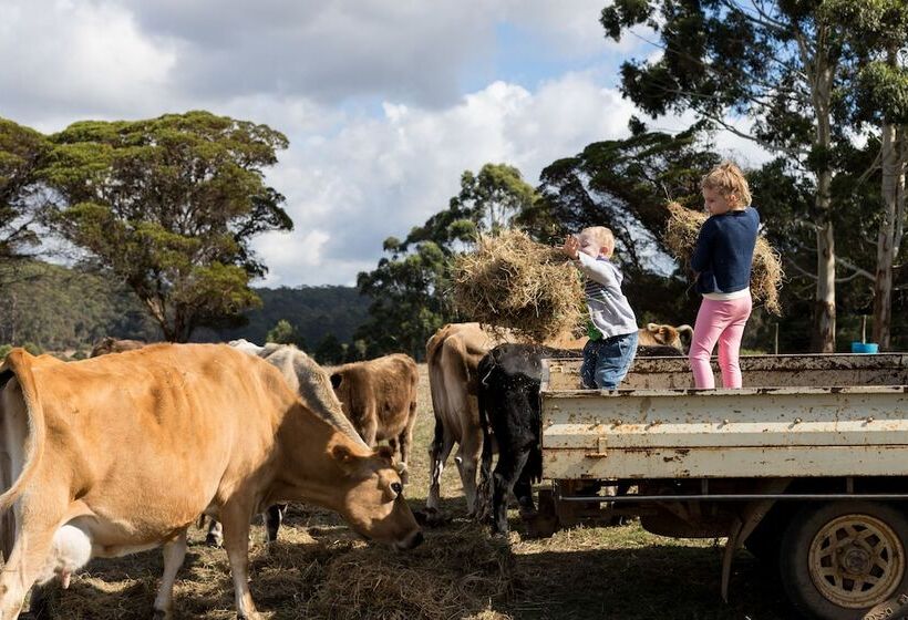 Отель Misty Valley Country Cottages