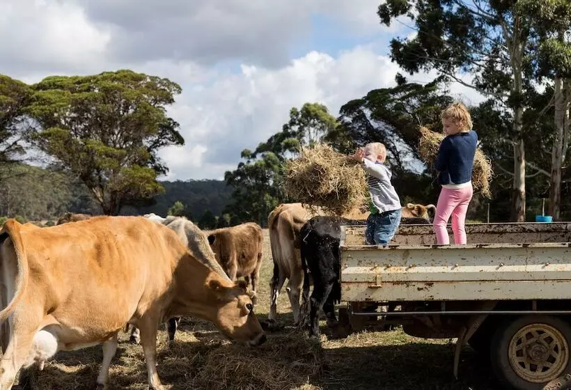 ホテル Misty Valley Country Cottages