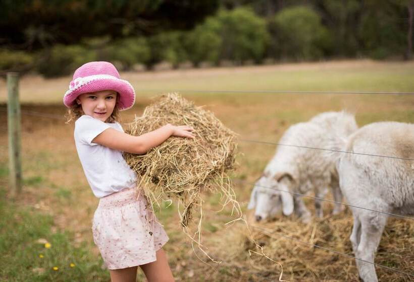 Отель Misty Valley Country Cottages