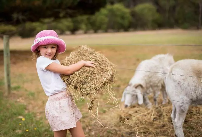 ホテル Misty Valley Country Cottages