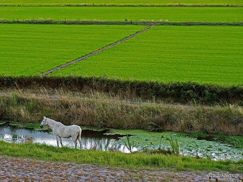 בית מלון כפרי Monte Do Brejinho De água
