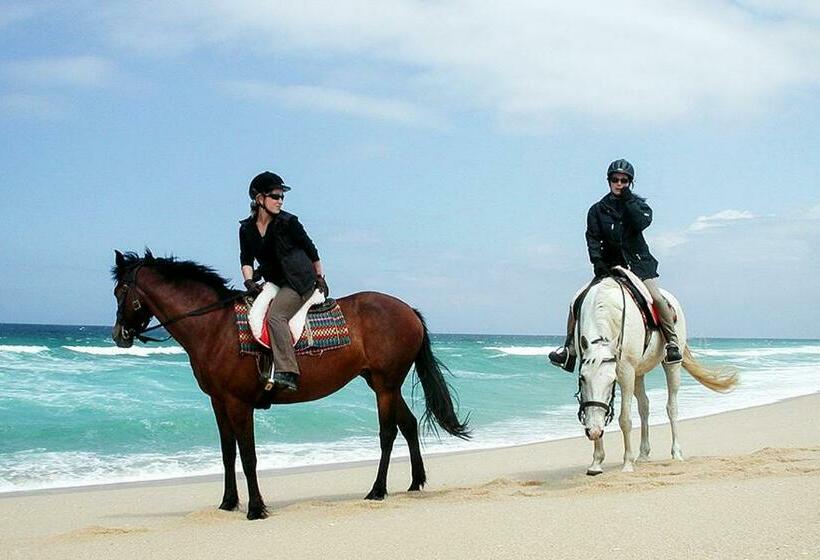 בית מלון כפרי Monte Do Brejinho De água