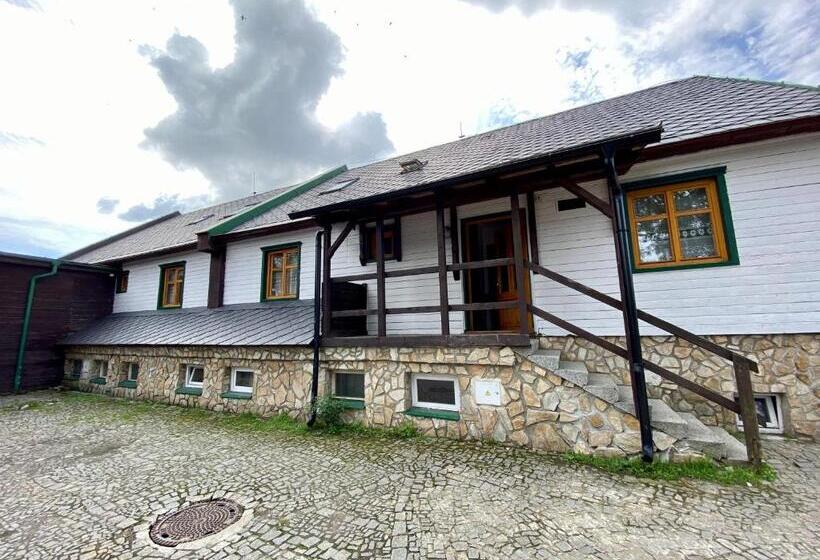 Отель Penzion Rejviz