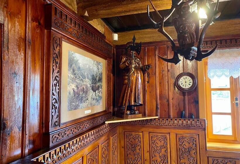 Отель Penzion Rejviz