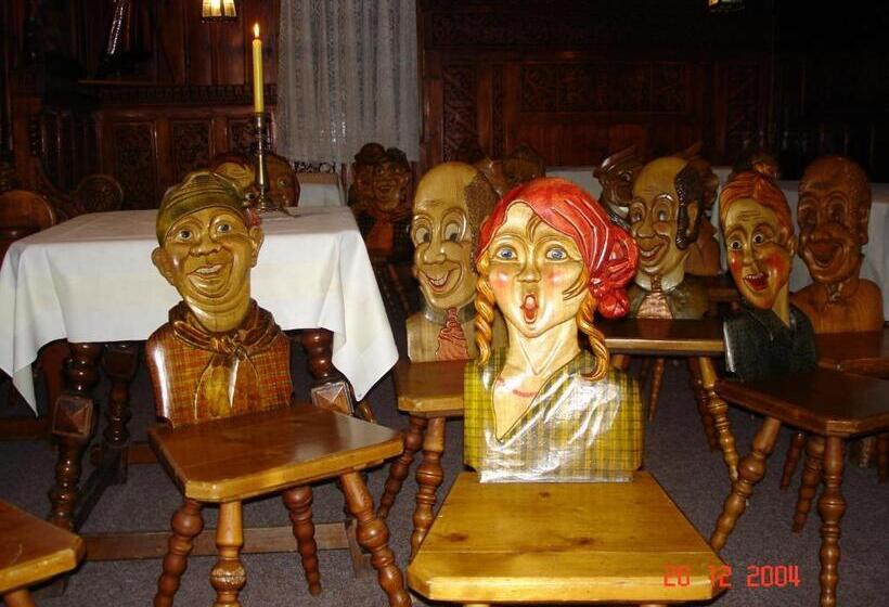 Отель Penzion Rejviz