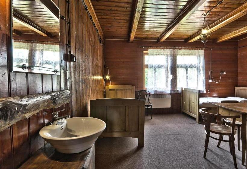 Отель Penzion Rejviz