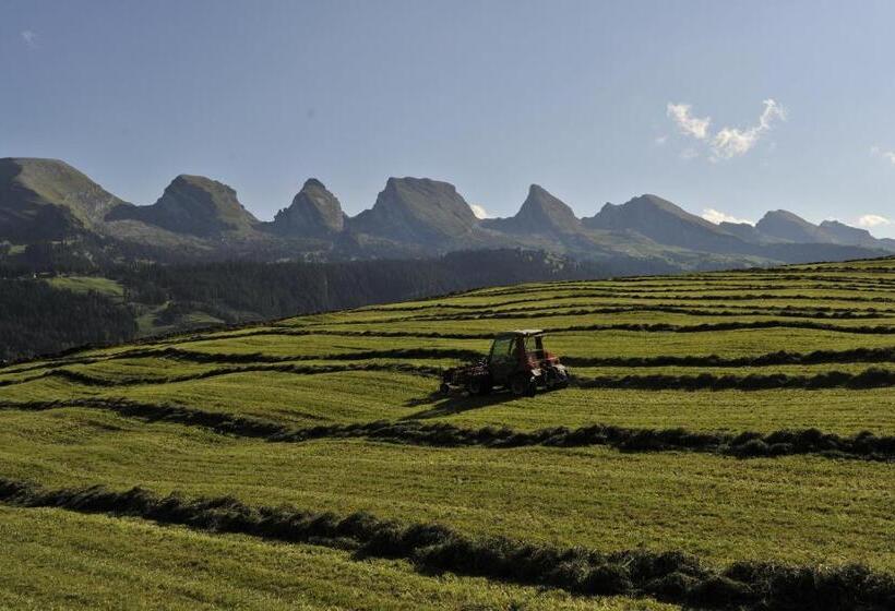 فندق Restaurant Sternen